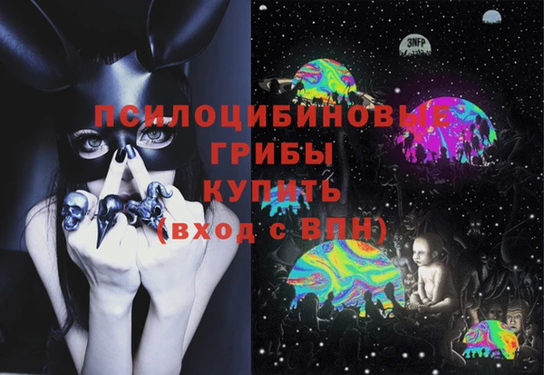 jwh Пересвет