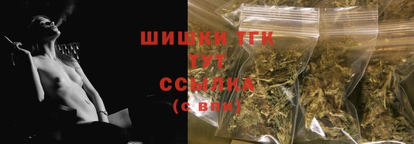 СК Тихвин