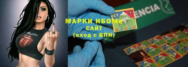 шишки Переславль-Залесский