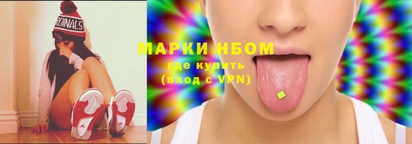 шишки Переславль-Залесский