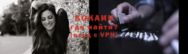 jwh Пересвет