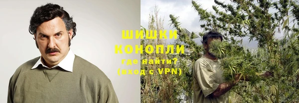 jwh Пересвет