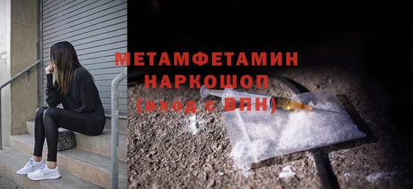 прущие грибы Киренск